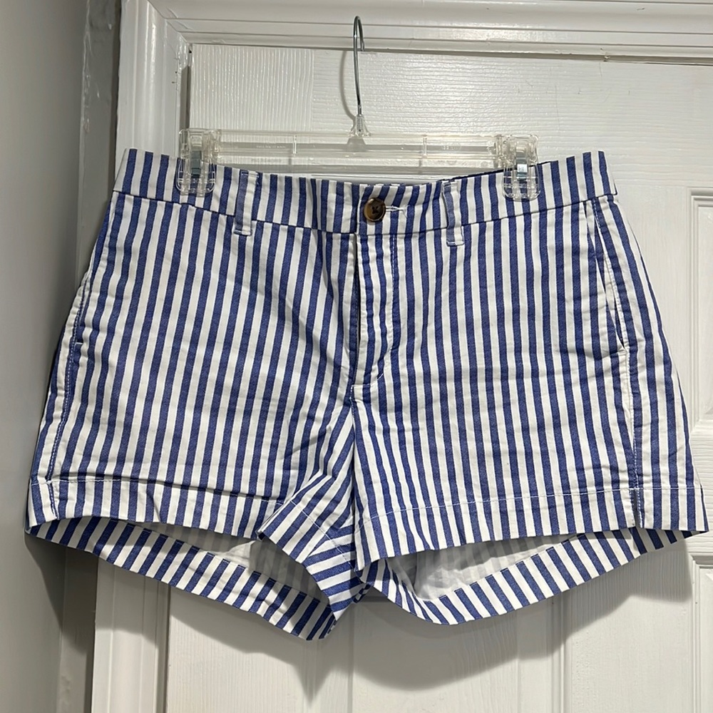 Blue and White Striped Shorts